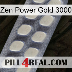 Zen Power Gold 3000 08